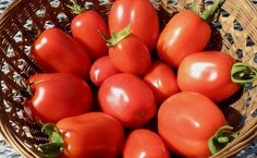 O procedimento era inédito, pois as técnicas passaram a utilizar um hormônio totalmente novo, mas que já assinalava ser eficiente