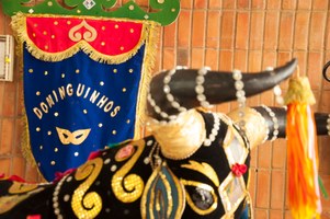 Carnaval é tema de atividades no hall da Reitoria