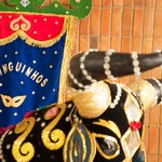 Carnaval é tema de atividades no hall da Reitoria