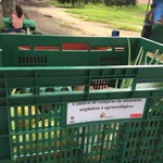 Coletivo de compras incentiva consumo de produtos naturais