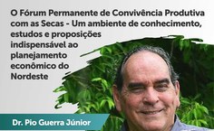 Confira a programação