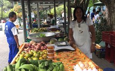 Feira ficará Orgânica e Agroecológica da Ufal