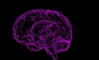 Neurologista do HU faz descoberta relacionada a redes neurais