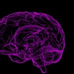 Neurologista do HU faz descoberta relacionada a redes neurais