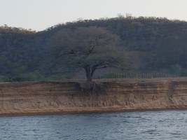 Seminário apresentará resultado de expedição no Baixo São Francisco