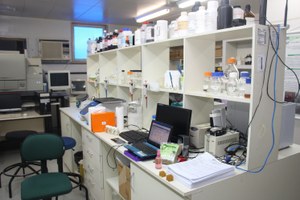 Laboratório de Genética Molecular da Ufal comemora 20 anos