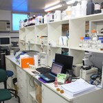 Laboratório de Genética Molecular da Ufal comemora 20 anos