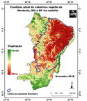 Registro do Laboratório de Análise e Processamento de Imagens de Satélites