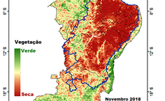 Registro do Laboratório de Análise e Processamento de Imagens de Satélites