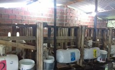 Cqapril onde o projeto da Ufal foi implantado