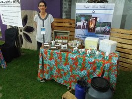 Projeto auxilia produtores no manejo e produção de leite de cabra