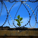 Ufal recebe seminário internacional sobre insegurança e punição