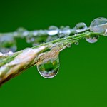 Laboratório da Ufal indica chuvas acima da média na Caatinga