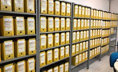 Equipe da Ufal reuniu e organizou os documentos para a avaliação