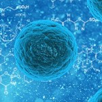 Verbas para laboratório de pesquisa com células-tronco fomentam estudos sobre ELA
