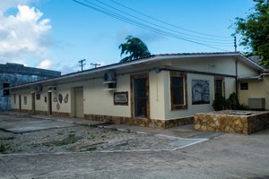 Visitas ao Museu de História Natural crescem mais de 240% em 2017