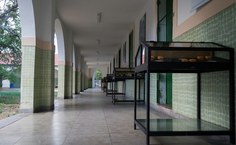 Museu de História Natural da Ufal. Foto: Willams Fagner