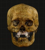 Crânio de ‘flautista’ de dois mil anos ganha face com apoio da Ufal