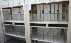 Laqua, no Centro de Ciências Agrárias, foi reestruturado e tem novas pesquisas. Foto: Tárcila Cabral