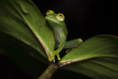 Foto de WillamsFagner venceu concurso de fotografia no congresso