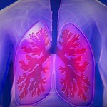 HU apresenta Manual de Controle da Tuberculose Hospitalar