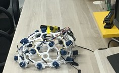 Nees também desenvolve estudos por monitoramento de ondas cerebrais