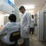 Pesquisa sobre Chikungunya gera publicação em revista científica de circulação internacional
