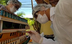 Mais de mil peças da reserva técnica do MTB já foram arroladas