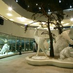 De Moscou para Alagoas: diretora do Museu de Darwin desembarca na Ufal