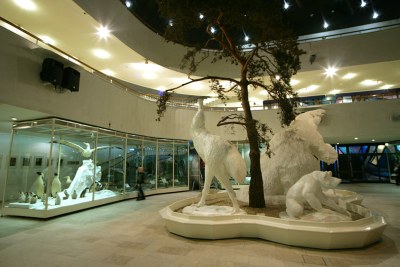 Foto: The State Darwin Museum (Russian Museums.info)