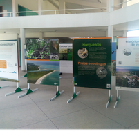 Exposição ‘Mergulhe na APA Costa dos Corais!’ acontece no  ICBS durante as atividades da SBPC