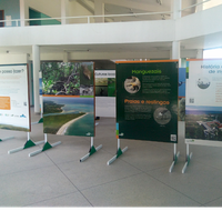 Exposição ‘Mergulhe na APA Costa dos Corais!’ acontece no  ICBS durante as atividades da SBPC
