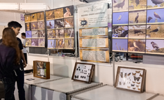 SBPC Alagoas tem exposição de ciências exatas e naturais