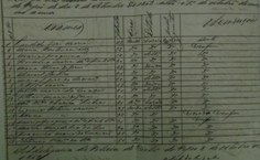 Mapa dos afetados pelo cólera no Distrito do Poço 1862. Fonte - APA.jpg