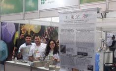 Pesquisa estuda fabricação de produtos industrializados a partir de entulhos