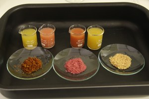 Inpa apresenta tecnologias de alimentos na 70ª Reunião Anual da SBPC