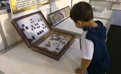 O público infantil se encanta com os insetos e aracnídeos do Museu de História