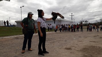 Palestra sobre falcoaria reuniu diversas crianças e adultos na SBPC Jovem