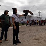 Palestra sobre falcoaria reuniu diversas crianças e adultos na SBPC Jovem