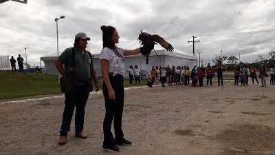 Falcoaria na SBPC Alagoas