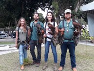 Falcoaria da SBPC Alagoas. Fotos: Viviane Borges e Íris Danielle