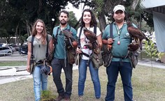 Falcoaria da SBPC Alagoas. Fotos: Viviane Borges e Íris Danielle