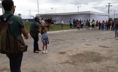 Falcoaria da SBPC Alagoas. Fotos: Viviane Borges e Íris Danielle