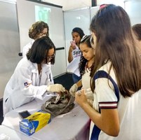 Produção de biofertilizantes e cultivo de plantas é tema de oficina na SBPC Jovem