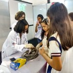 Produção de biofertilizantes e cultivo de plantas é tema de oficina na SBPC Jovem