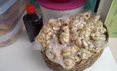 Projeto é o primeiro equipamento cultural da Proex em Arapiraca