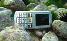 Pesquisadores registraram impactos do lixo do ambiente marinho. Foto: Arquivo Cláudio Sampaio