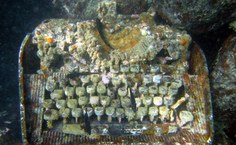 Pesquisadores registraram impactos do lixo do ambiente marinho. Foto: Arquivo Cláudio Sampaio