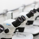 Gestão inaugura dez laboratórios de ensino e pesquisa no Ceca