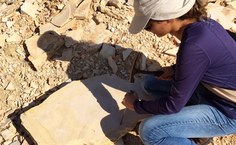 Júlia Vieira, do setor de Paleontologia